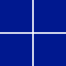 Windows Server logo
